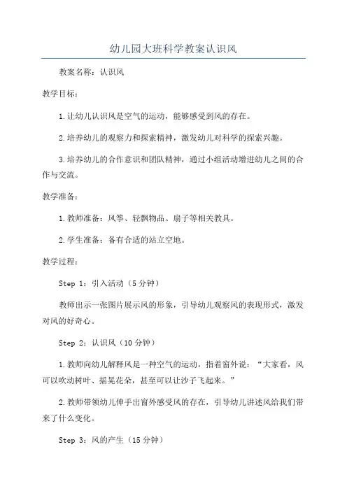 幼儿园大班科学教案认识风