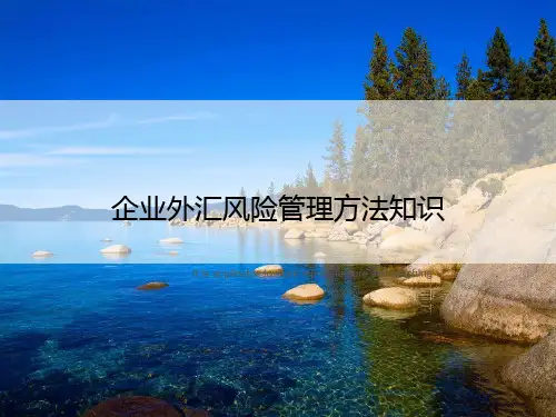 企业外汇风险管理方法知识