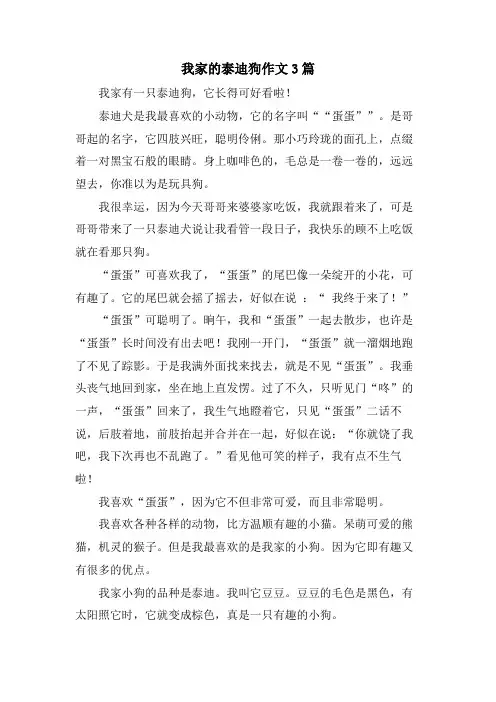 我家的泰迪狗作文3篇