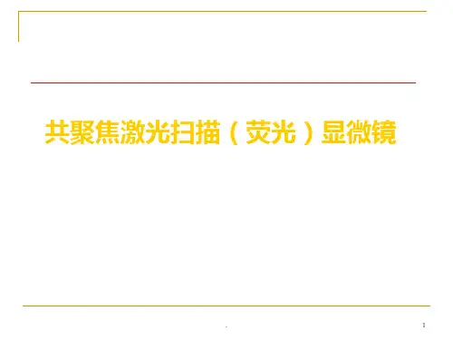 共聚焦激光扫描PPT课件