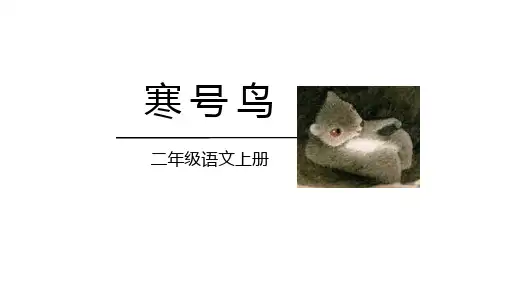 统编版二年级语文上册13 寒号鸟 课件(共46张PPT)(1)