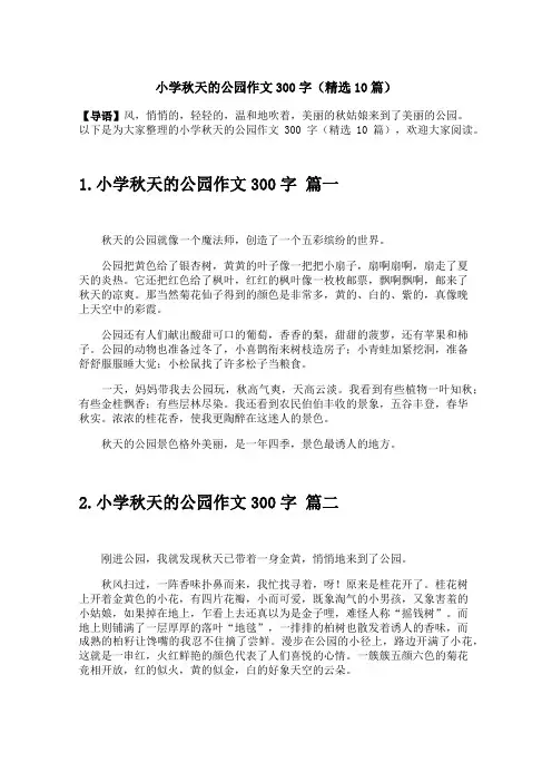 小学秋天的公园作文300字(精选10篇)