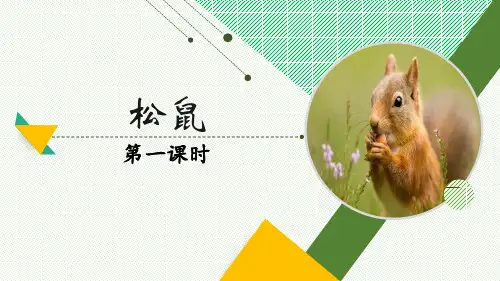 统编版五年级语文上册17《松鼠》课件(共2课时,共33张PPT)