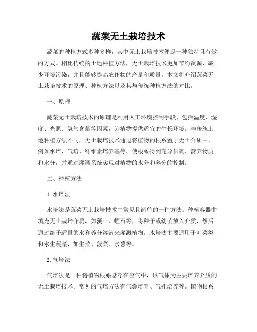 蔬菜无土栽培技术