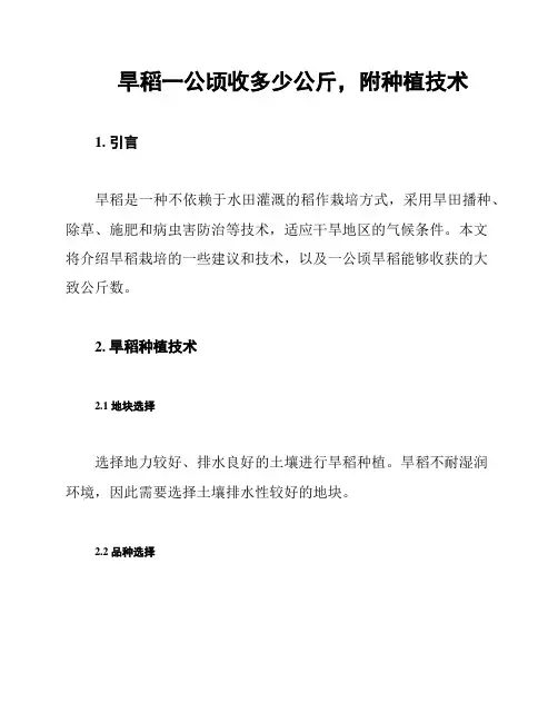 旱稻一公顷收多少公斤,附种植技术