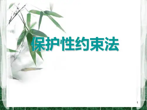 保护性约束课件