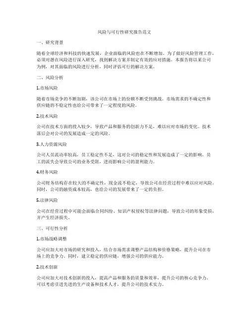 风险与可行性研究报告范文