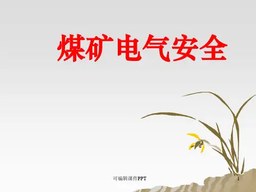 煤矿供电安全(企业内部培训)ppt课件
