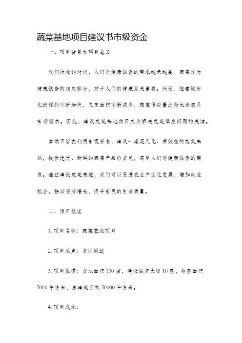 蔬菜基地项目建议书市级资金