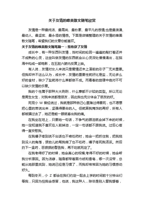 关于友情的唯美散文随笔欣赏