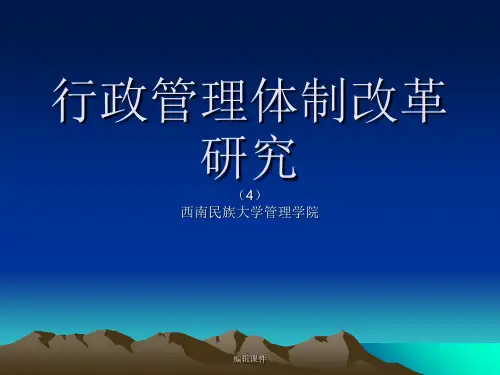 精品资源(收藏版)行政体制改革研究