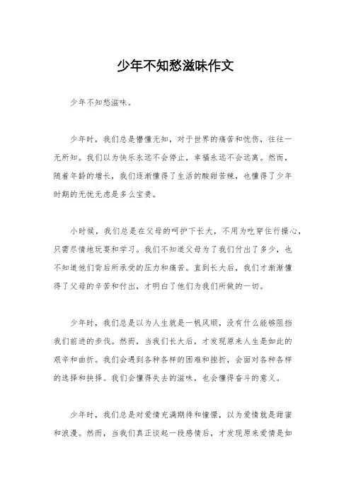 少年不知愁滋味作文