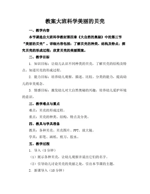 教案大班科学美丽的贝壳