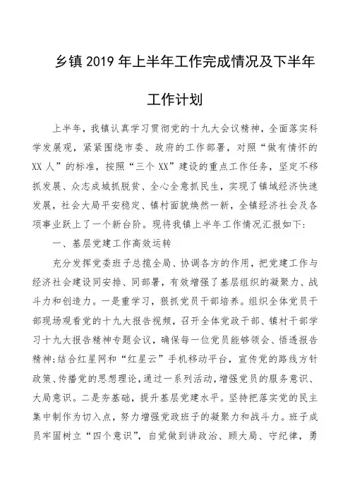 乡镇2019年上半年工作完成情况及下半年工作计划