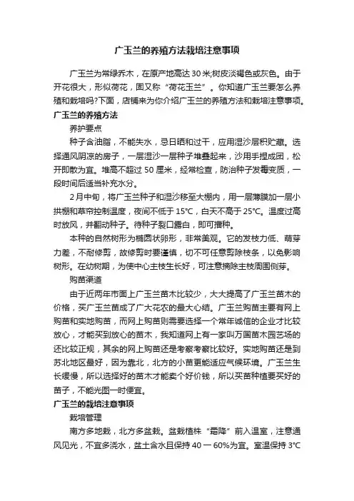 广玉兰的养殖方法栽培注意事项