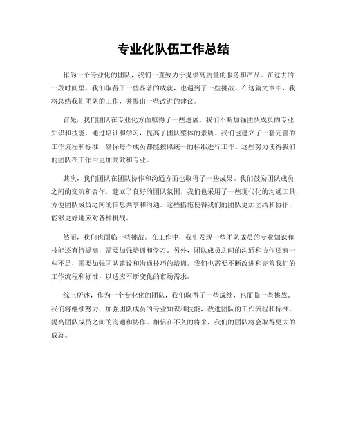 专业化队伍工作总结