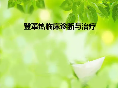 登革热诊断与治疗ppt课件