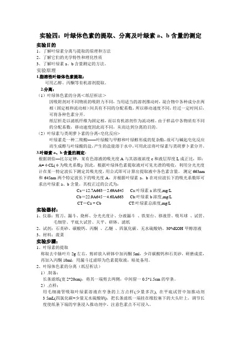 实验四叶绿体色素的提取、分离及叶绿素a、b含量的测定