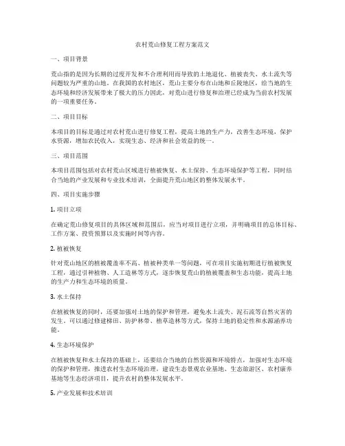 农村荒山修复工程方案范文