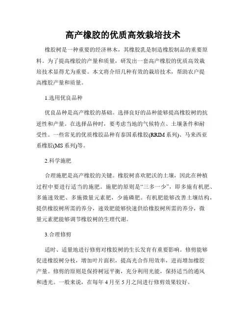 高产橡胶的优质高效栽培技术