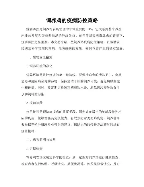 饲养鸡的疫病防控策略