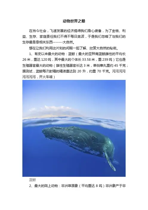 动物世界之最