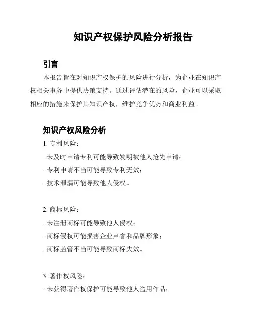 知识产权保护风险分析报告