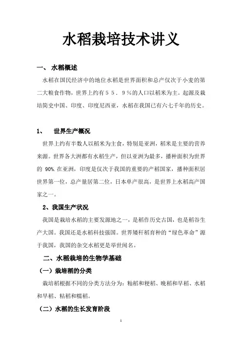 水稻论文