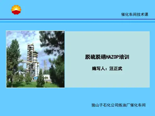 脱硫脱硝HAZOP培训