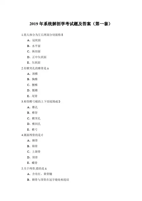 2019年系统解剖学考试题及答案(第一套)