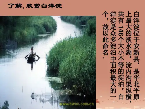 广西平南县上渡镇大成初级中学八年级语文上册 2 芦花荡课件 新人教版