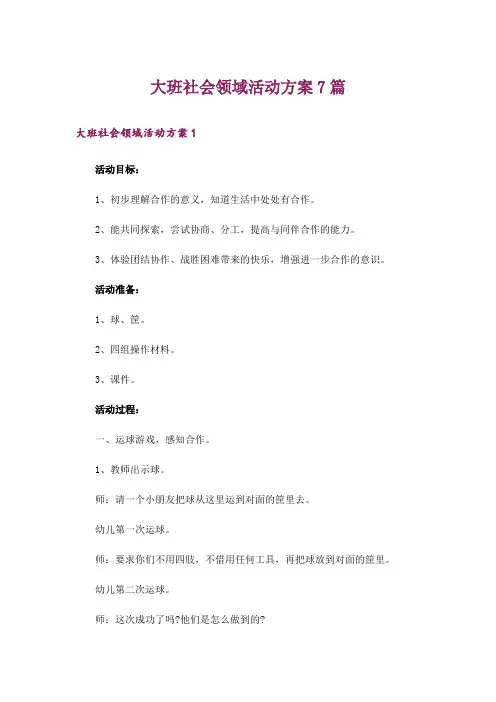 大班社会领域活动方案7篇