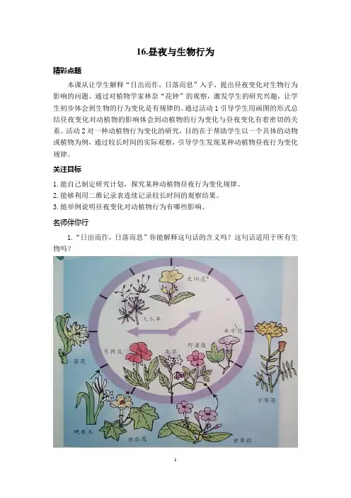 (冀人版)小学科学教与学·四年级上16.昼夜与生物行为