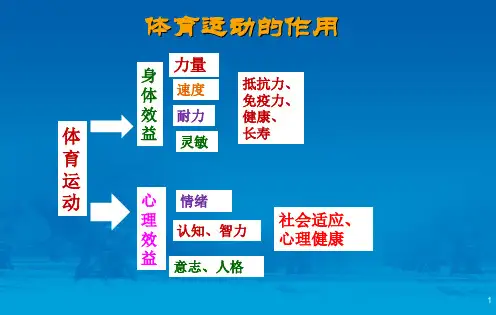 体育运动对心理健康及青少年心理发展影响
