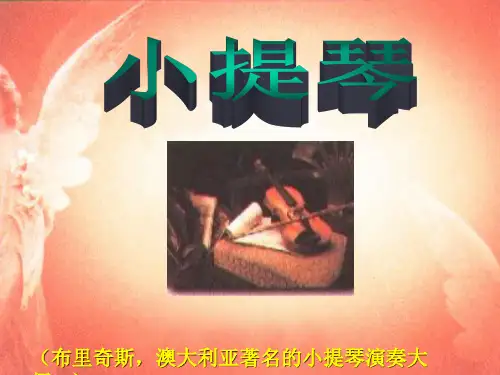 小学音乐认识乐器小提琴课件