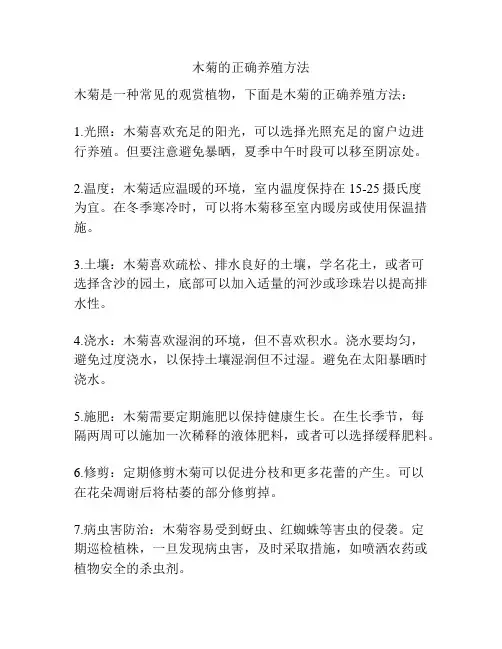 木菊的正确养殖方法