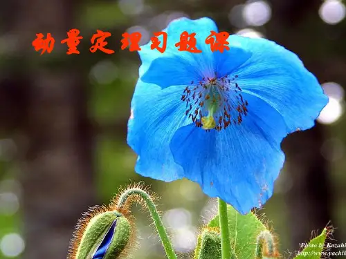 动量定理习题