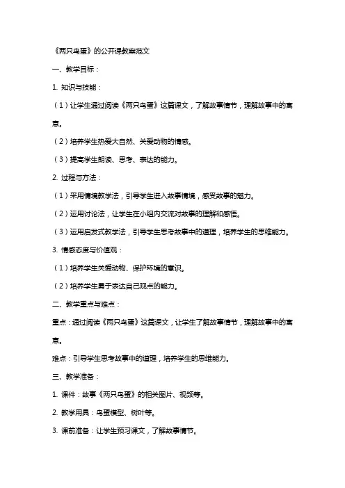 《两只鸟蛋》的公开课教案范文