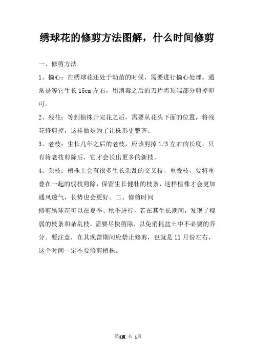 绣球花的修剪方法图解,什么时间修剪 