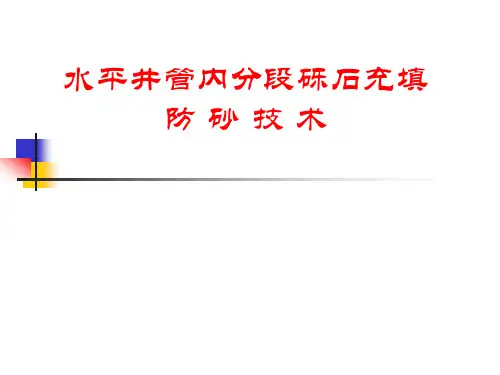 水平井管内分段砾石充填防砂技术精品PPT课件