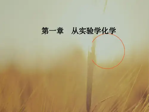 最新-2021学年高中化学必修一课件：第一章第二节第3课时物质的量浓度 精品