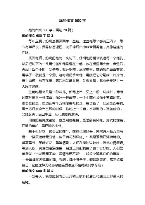 藕的作文600字（精选28篇）