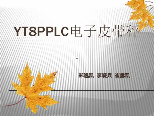 精密机械设计电子秤PPT课件