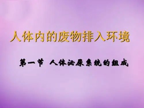 【苏教版】七年级生物下册：11.1《人体泌尿系统的组成》ppt课件