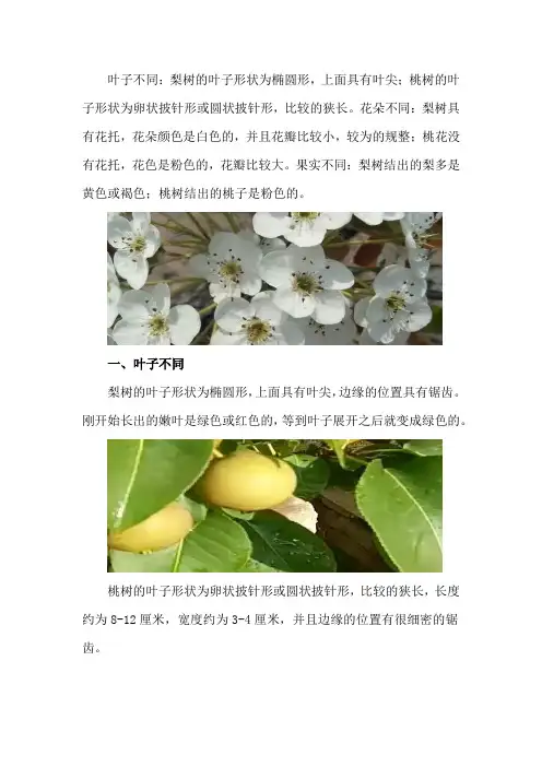 梨树和桃树的区别