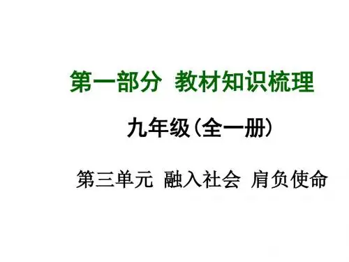 参与政治生活(共66张PPT)