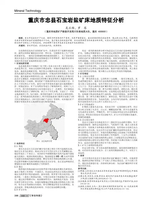 重庆市忠县石宝岩盐矿床地质特征分析