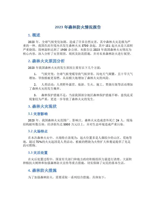 2023年森林防火情况报告