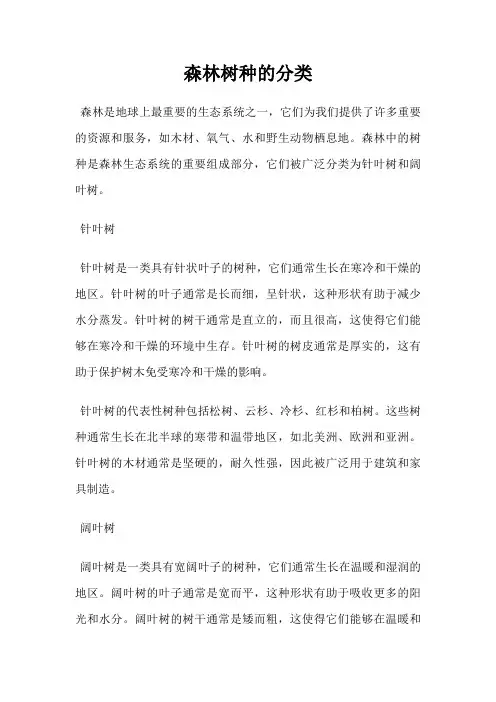 森林树种的分类