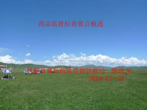 药品监督检查要点